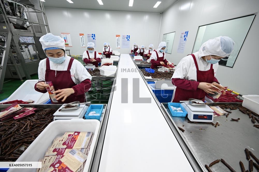 China Manufacturing Industry