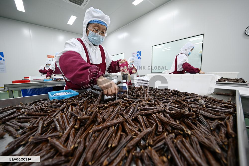 China Manufacturing Industry