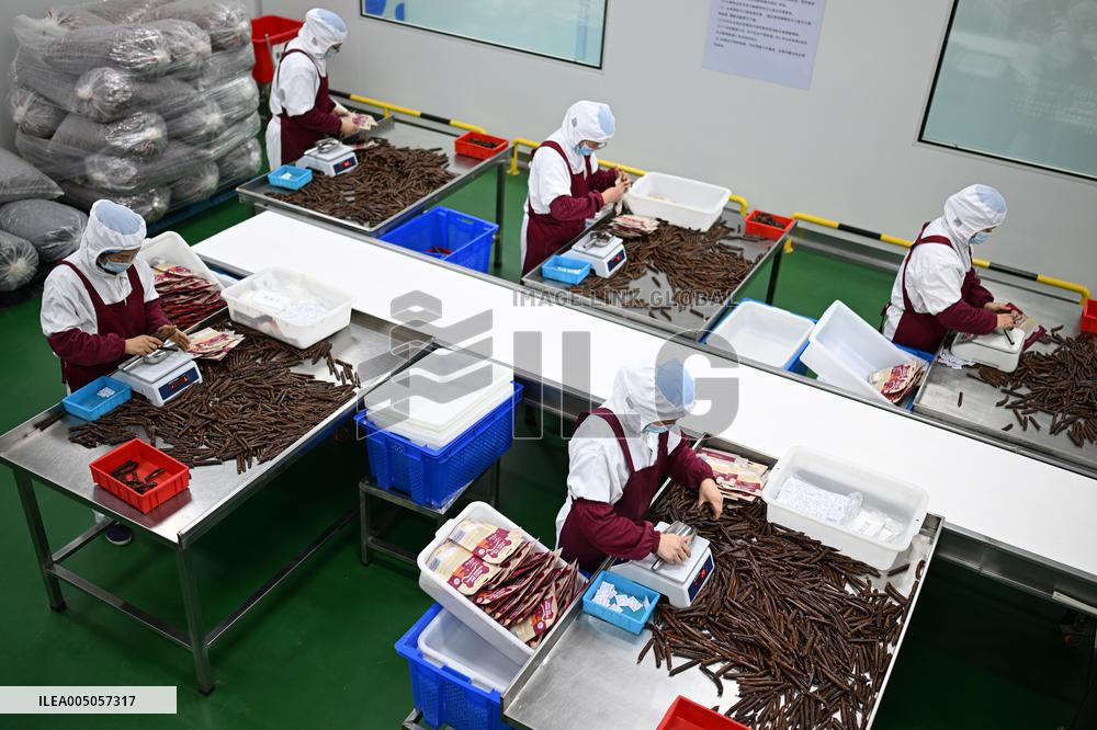 China Manufacturing Industry