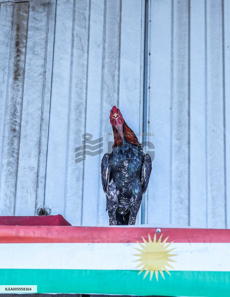 Living Heritage of Commerce in Ancient City - Iraq