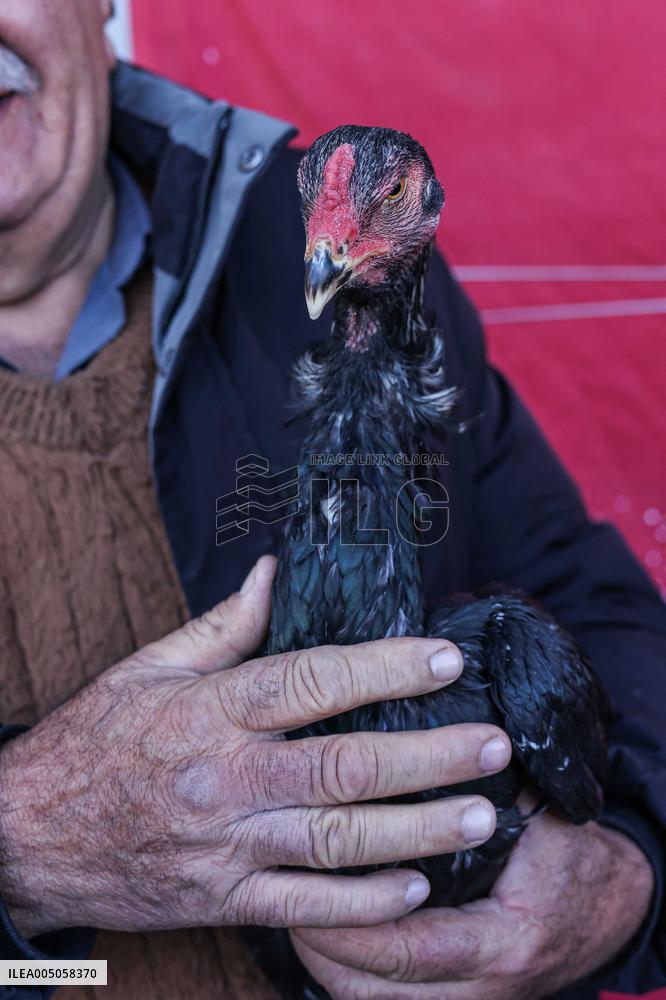 Living Heritage of Commerce in Ancient City - Iraq