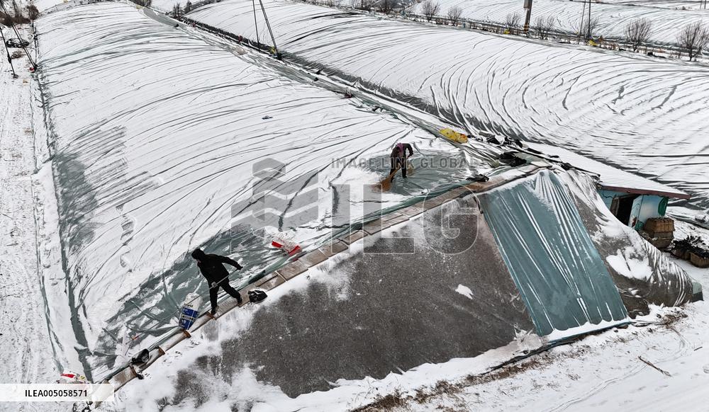 Agriculture Under Cold Wave
