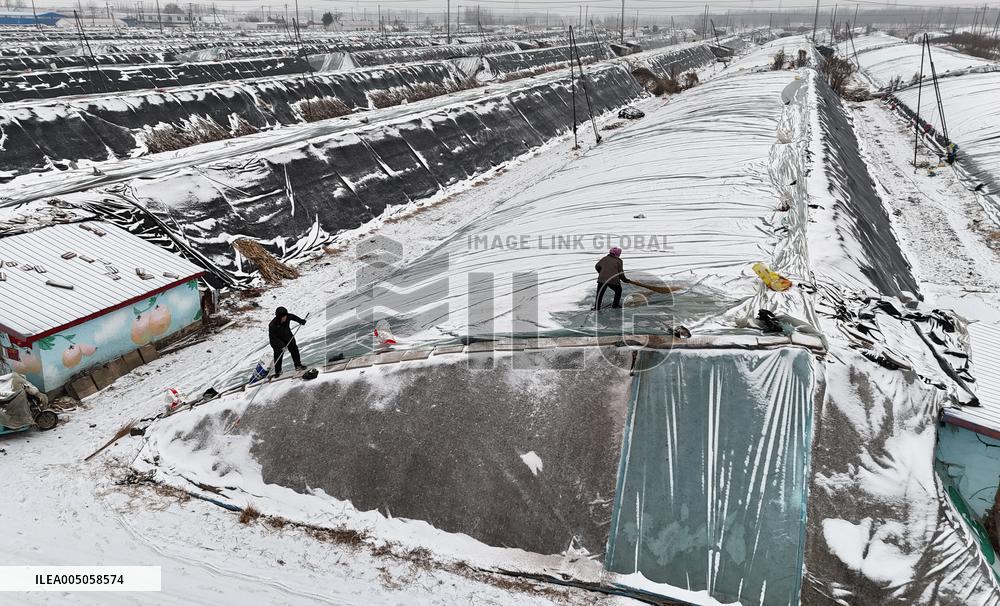 Agriculture Under Cold Wave