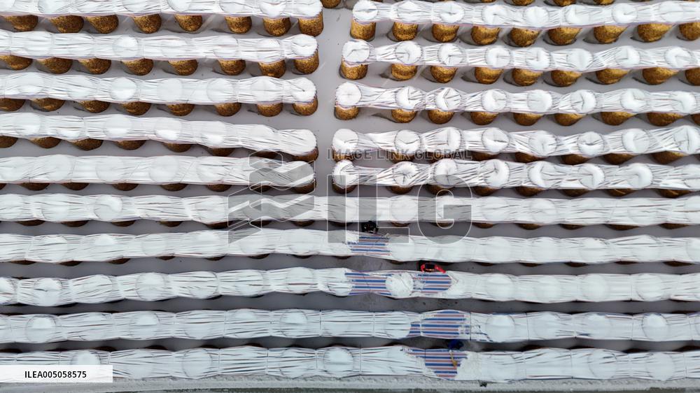 Agriculture Under Cold Wave