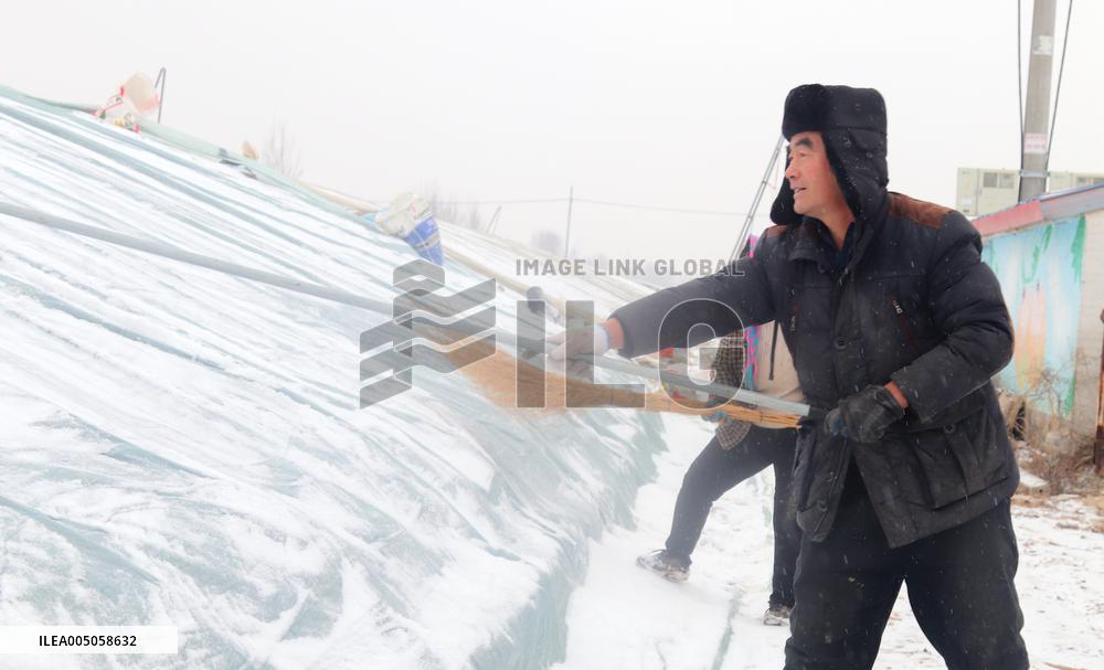 Agriculture Under Cold Wave