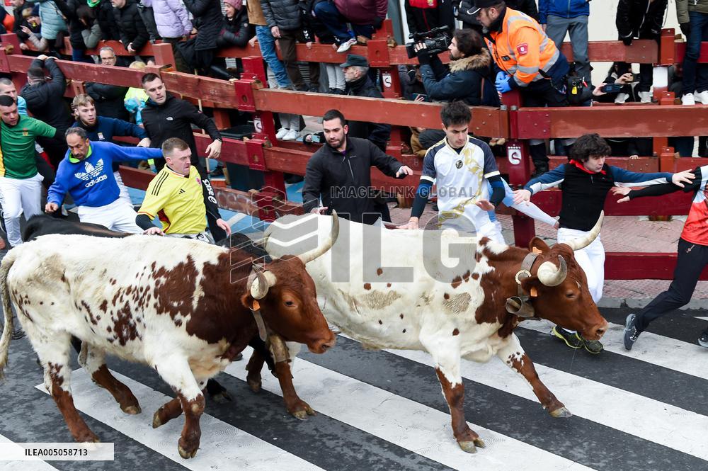 Bull Run - San Sebastian