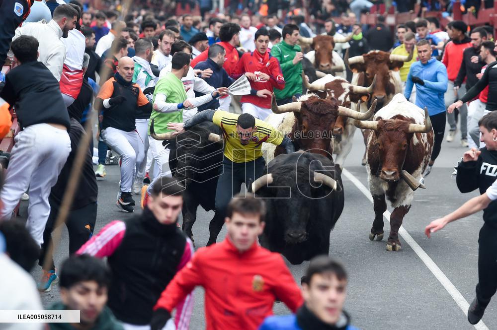 Bull Run - San Sebastian