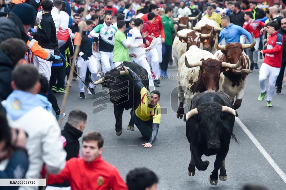 Bull Run - San Sebastian