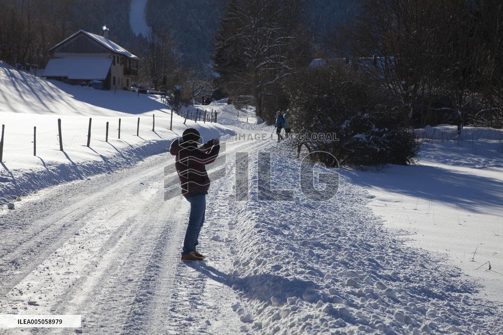 Illustration - Chartreuse