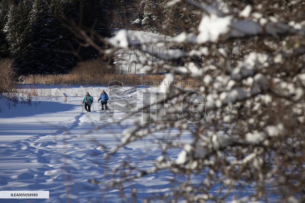 Illustration - Chartreuse