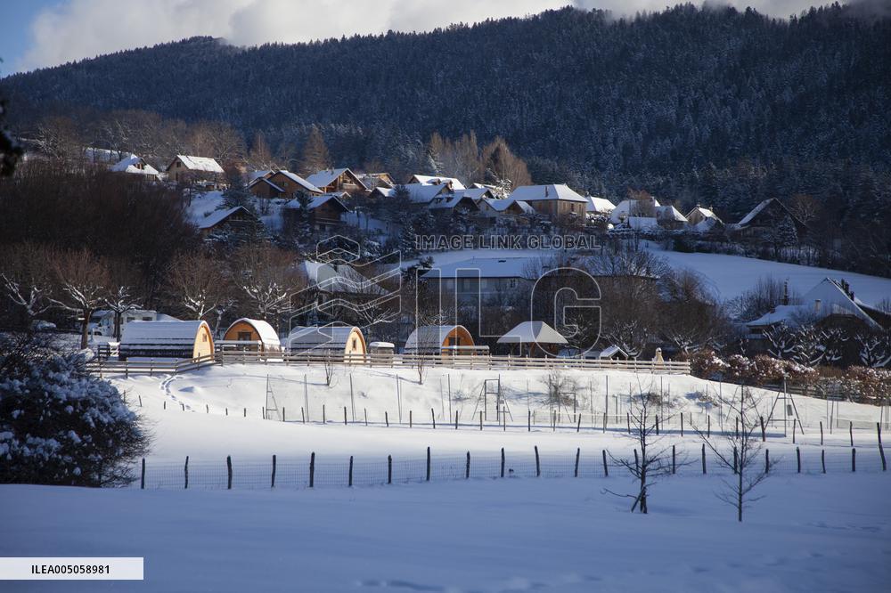 Illustration - Chartreuse