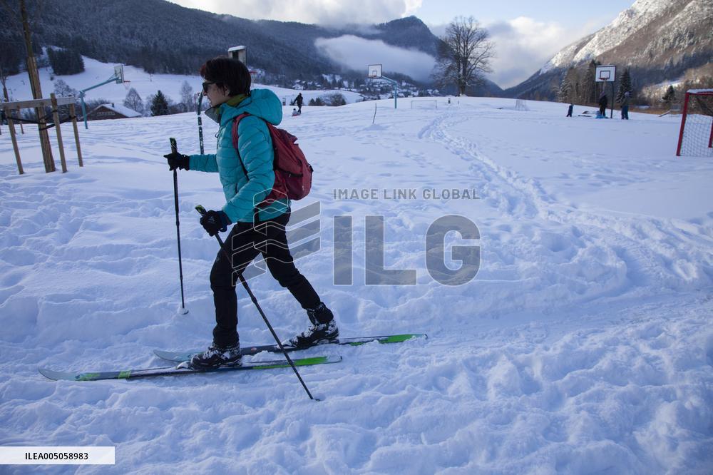 Illustration - Chartreuse