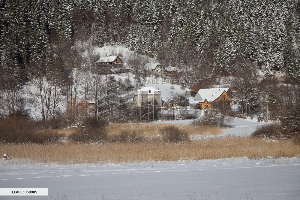 Illustration - Chartreuse