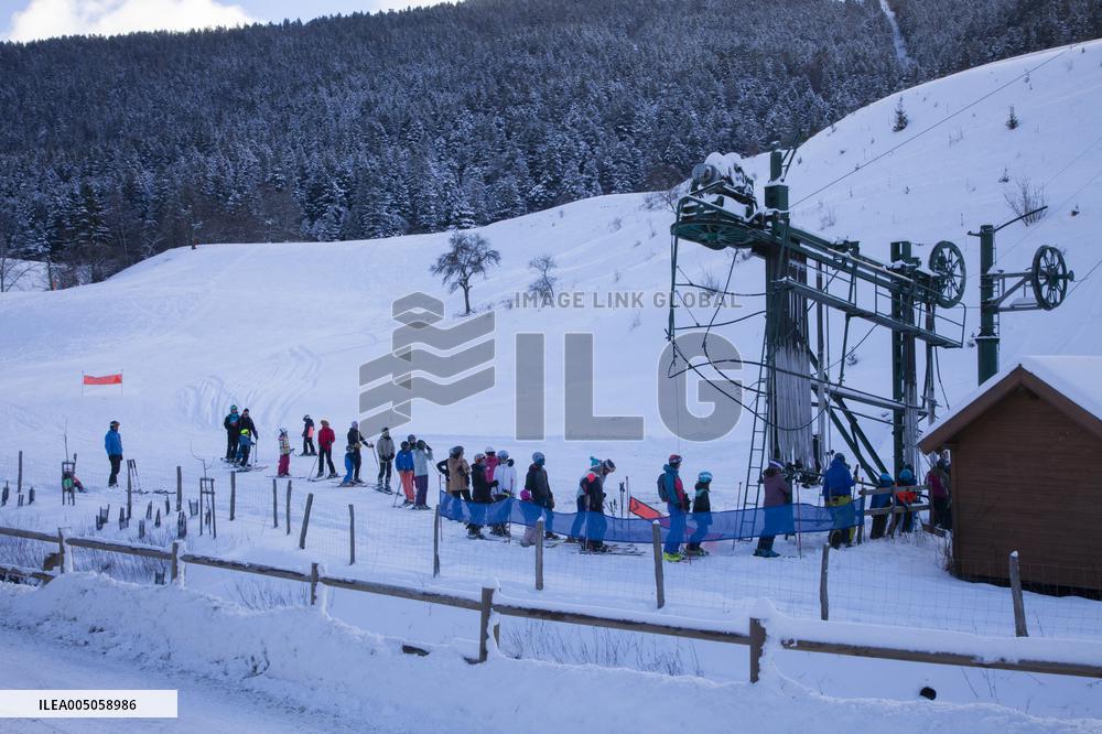 Illustration - Chartreuse