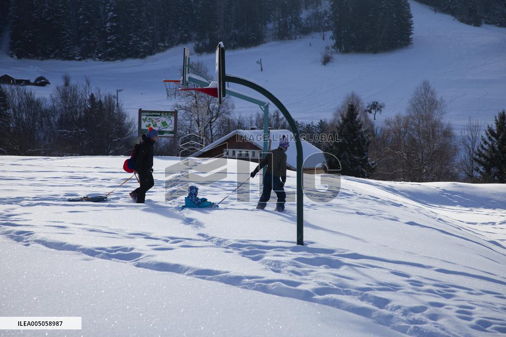 Illustration - Chartreuse