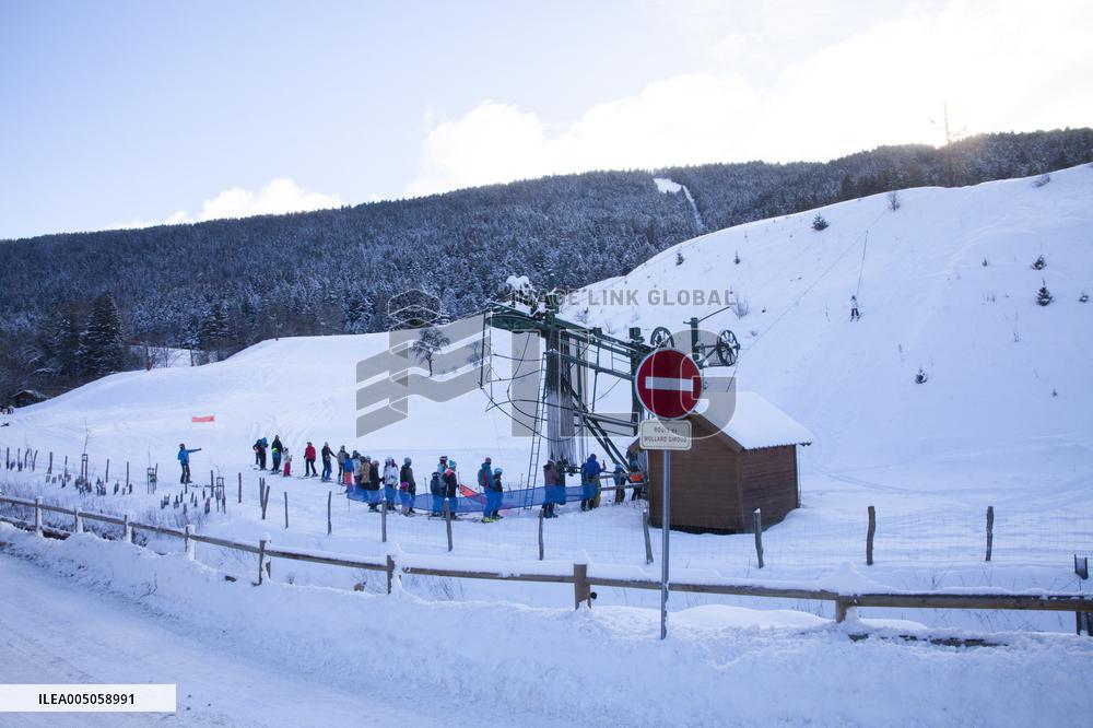 Illustration - Chartreuse