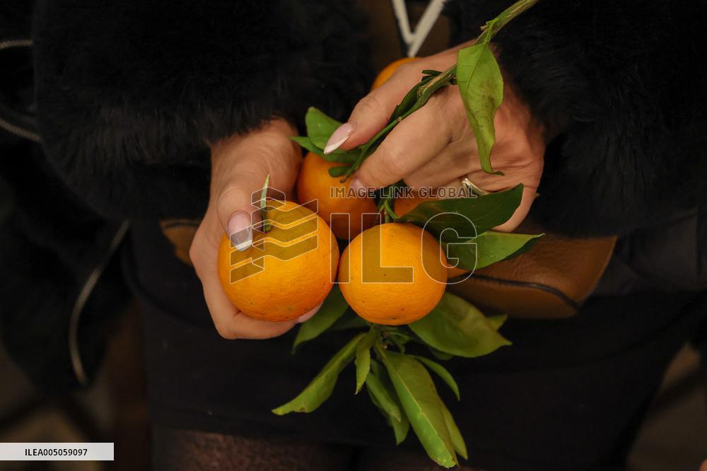 Celebration of The Feast of Saint Anthony Abbot - Corsica