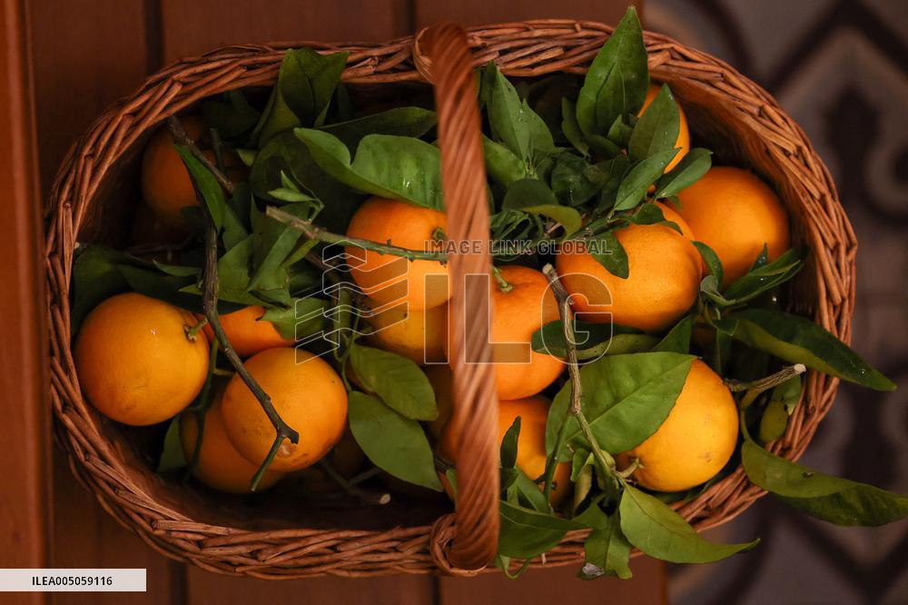 Celebration of The Feast of Saint Anthony Abbot - Corsica