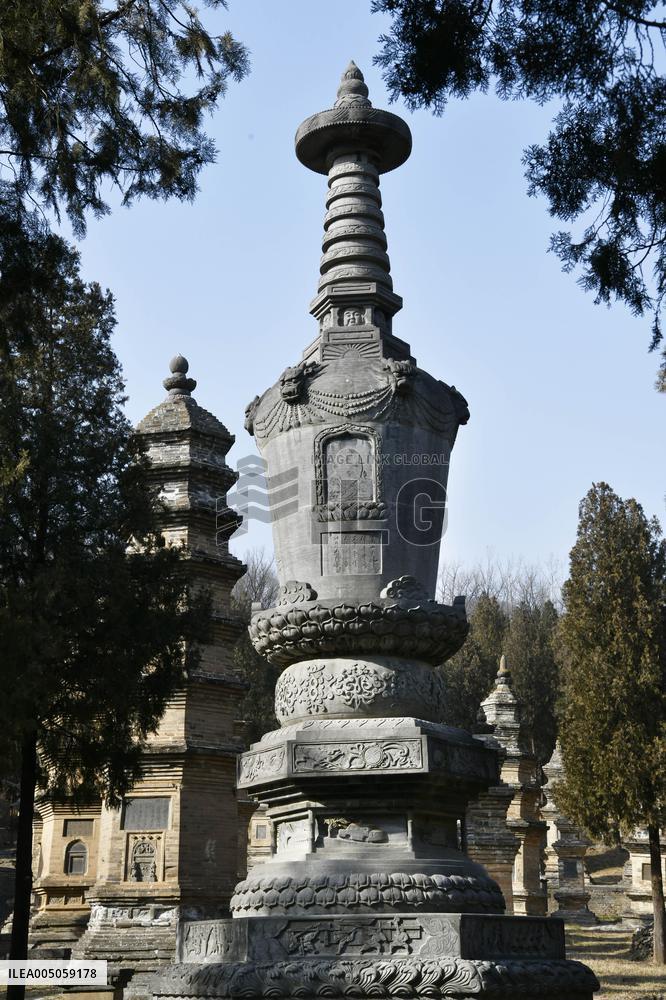 Pagoda Forest at Shaolin Temple