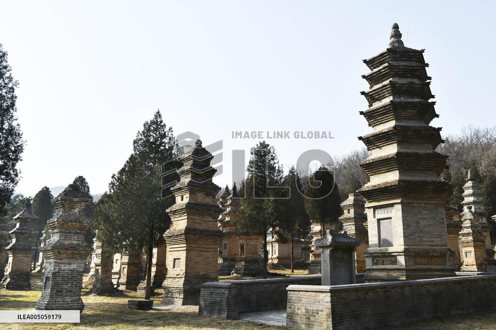 Pagoda Forest at Shaolin Temple