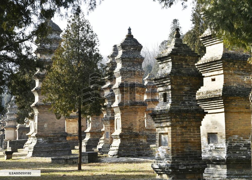 Pagoda Forest at Shaolin Temple