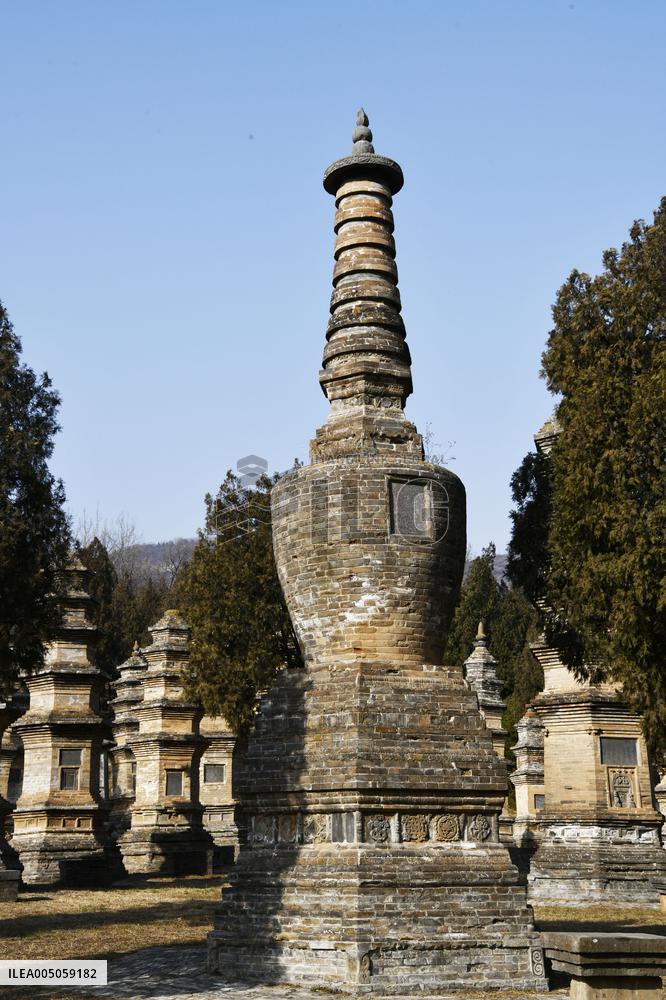 Pagoda Forest at Shaolin Temple