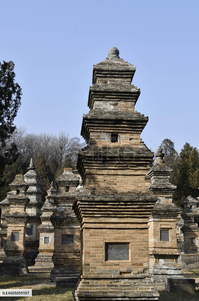 Pagoda Forest at Shaolin Temple