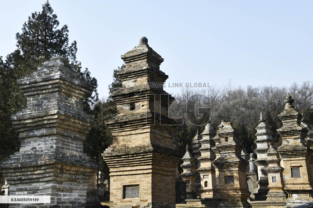 Pagoda Forest at Shaolin Temple