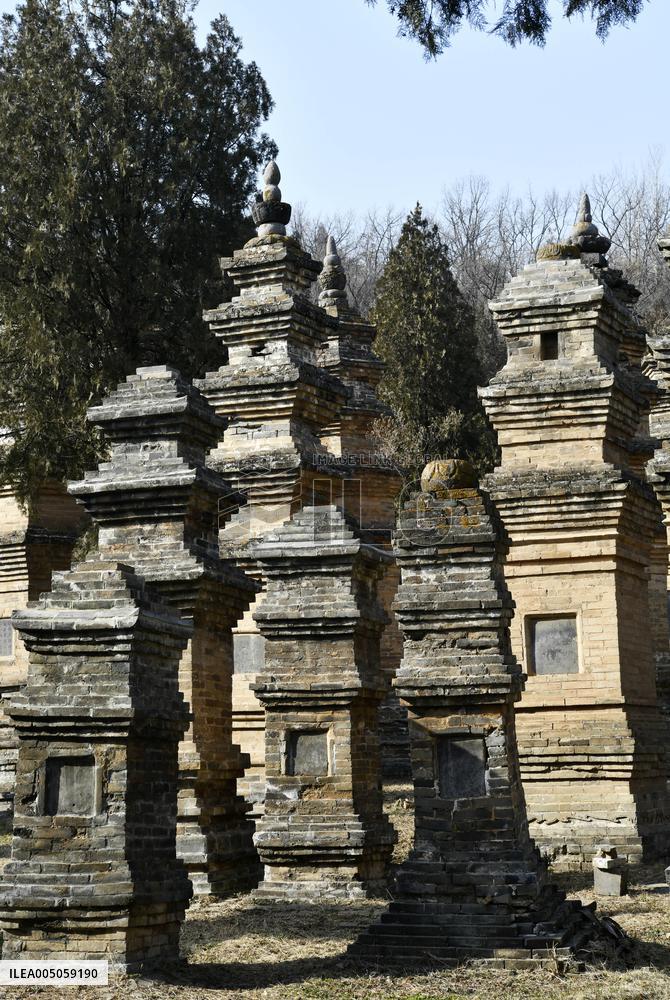 Pagoda Forest at Shaolin Temple