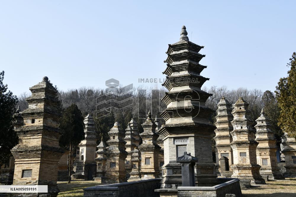 Pagoda Forest at Shaolin Temple