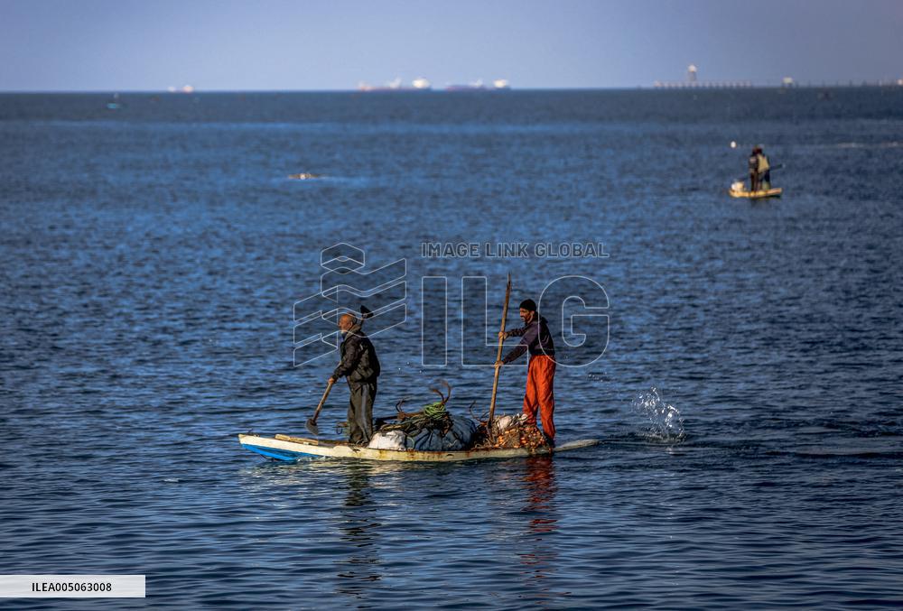 Gaza Port After Storm - Palestine