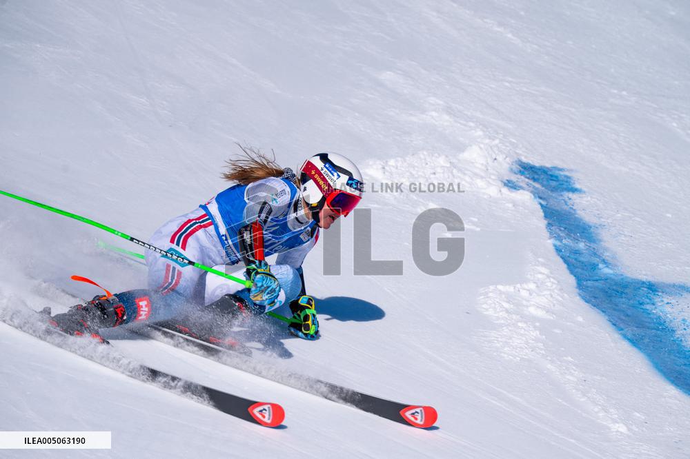 SPORT INVERNALI - Sci Alpino - 2026 Audi FIS Ski World Cup - Women's Giant Slalom