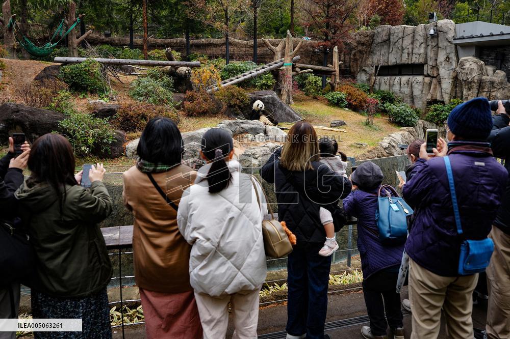 Giant Panda Returns to China - Tokyo