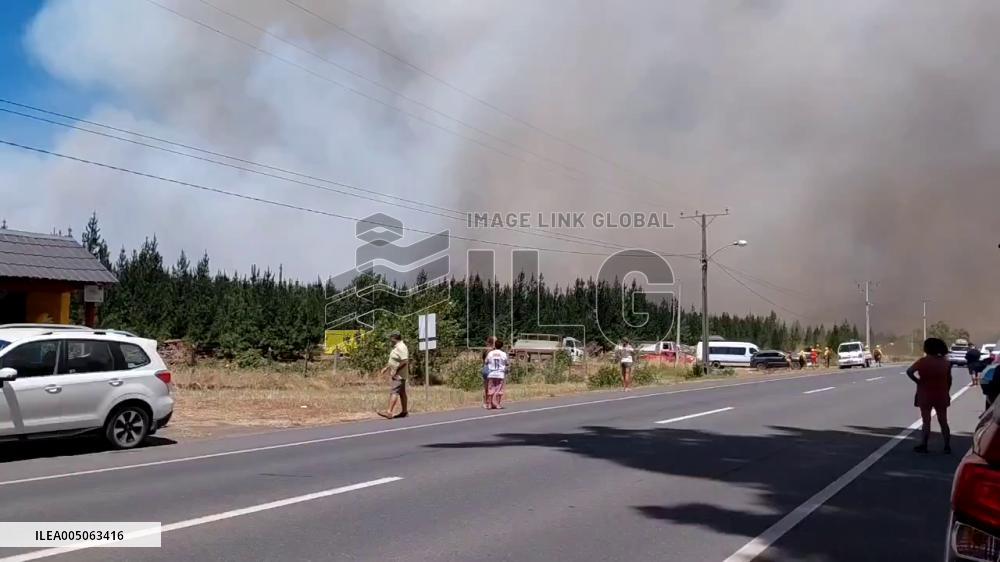 Chile: Deadly Wildfires Kill at Least 19, Destroy Hundreds of Homes 2