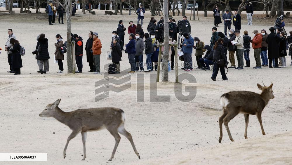 Ruling on shooter of ex-Japan PM Abe