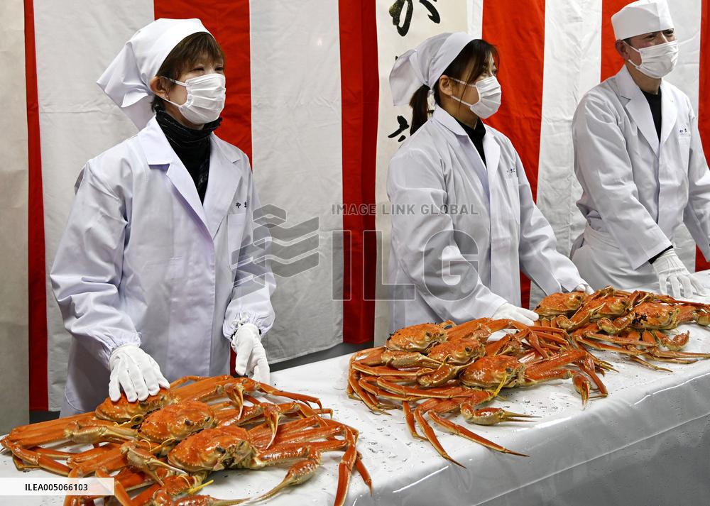 Echizen crabs in central Japan