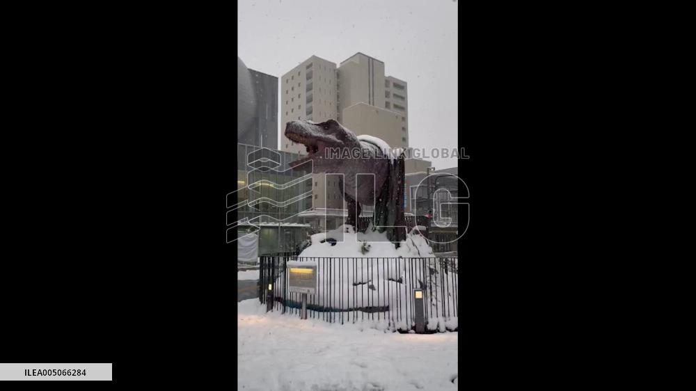 Japan: Dinosaur Robots in Fukui Brave Through Heavy Snow Like Prehistoric Ice Age 2