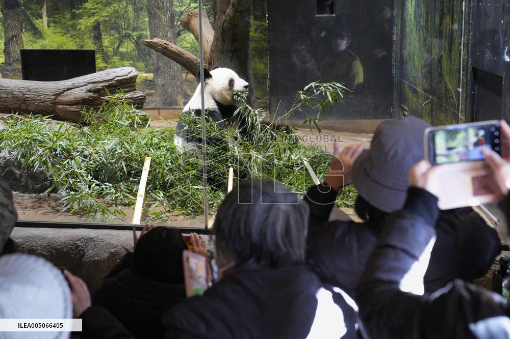 Final viewing day for Ueno zoo pandas