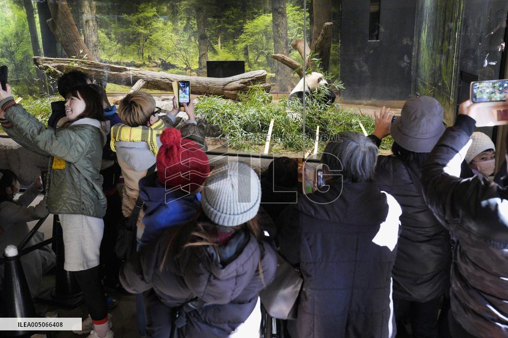 Final viewing day for Ueno zoo pandas