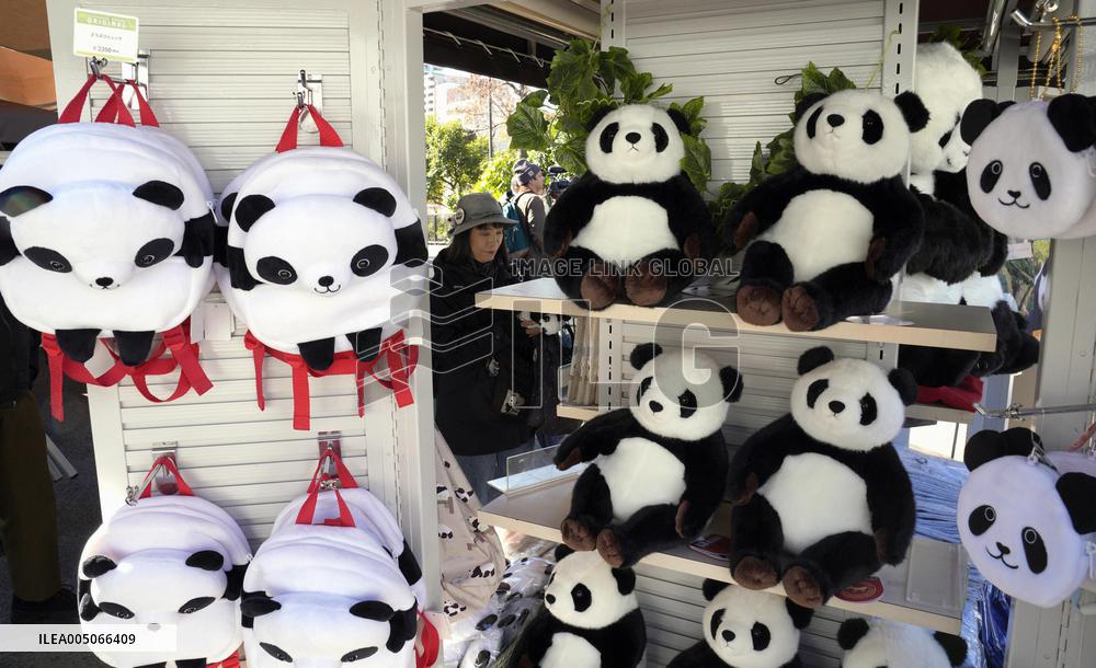 Final viewing day for Ueno zoo pandas