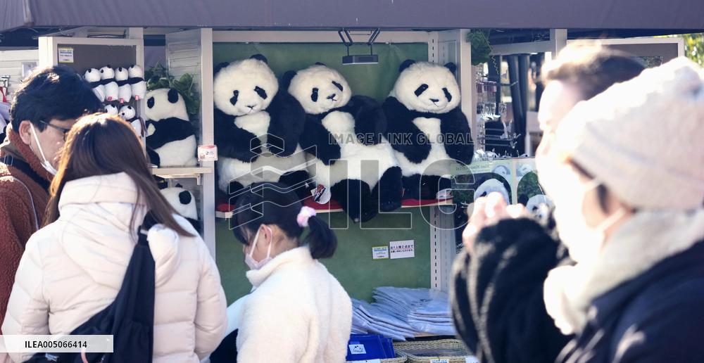 Final viewing day for Ueno zoo pandas