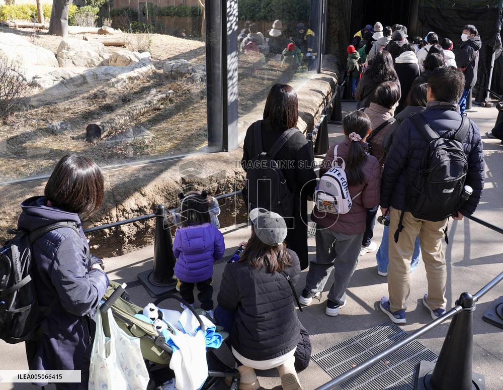 Final viewing day for Ueno zoo pandas