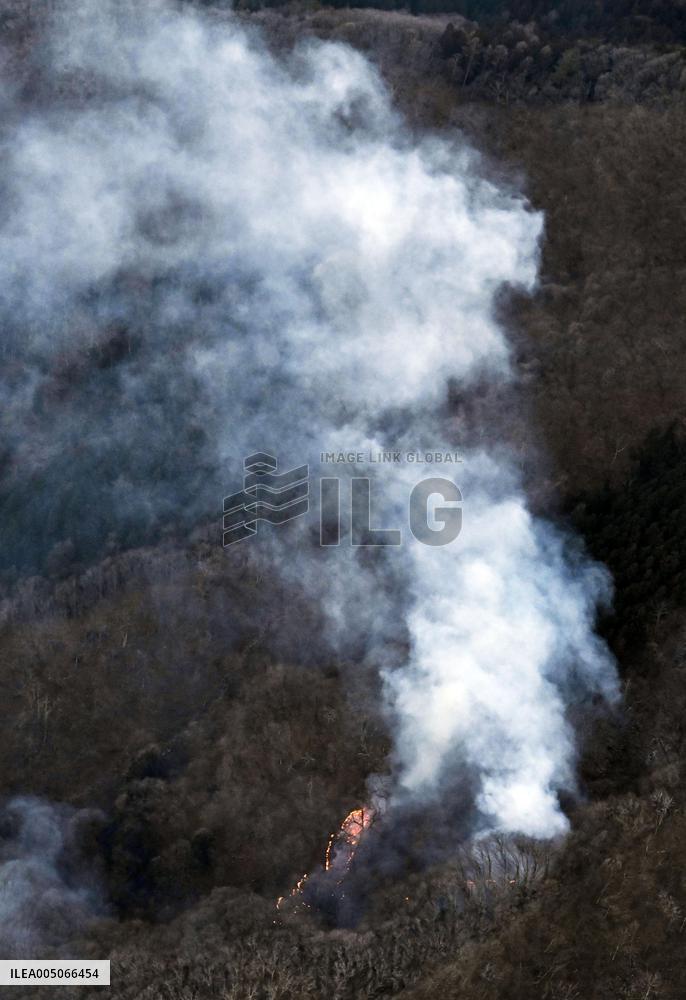 Wildfire in Gunma Pref.