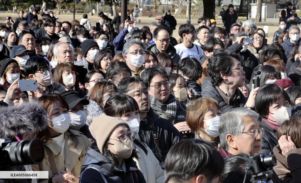 General election in Japan