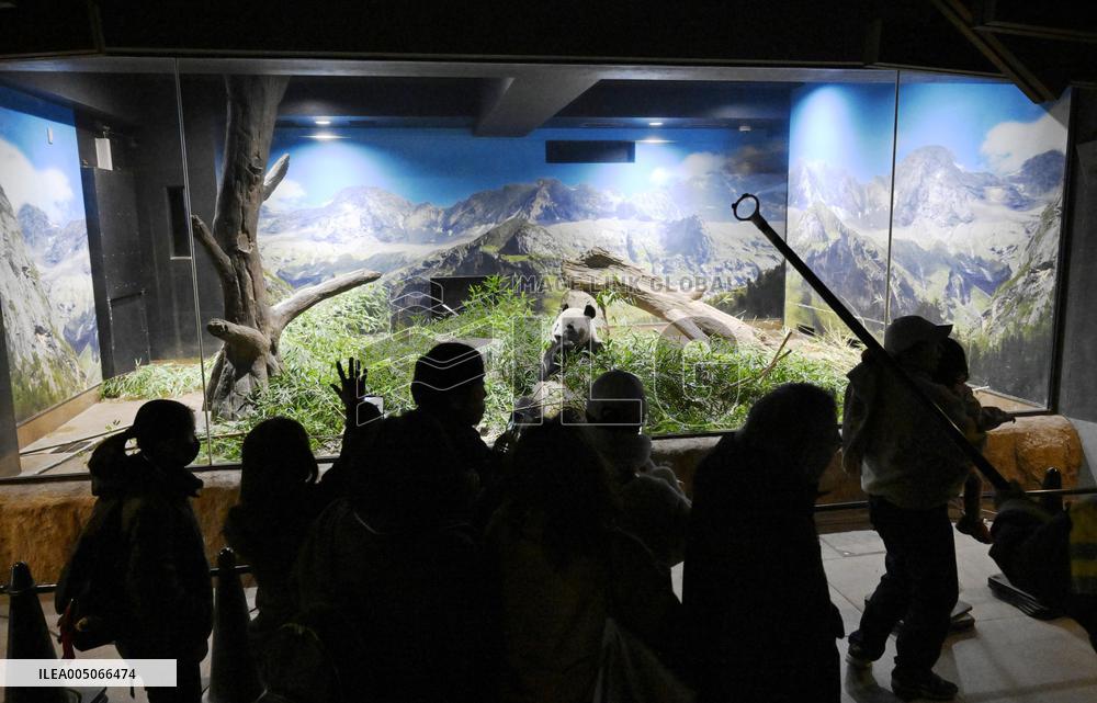 Final viewing day for Ueno zoo pandas