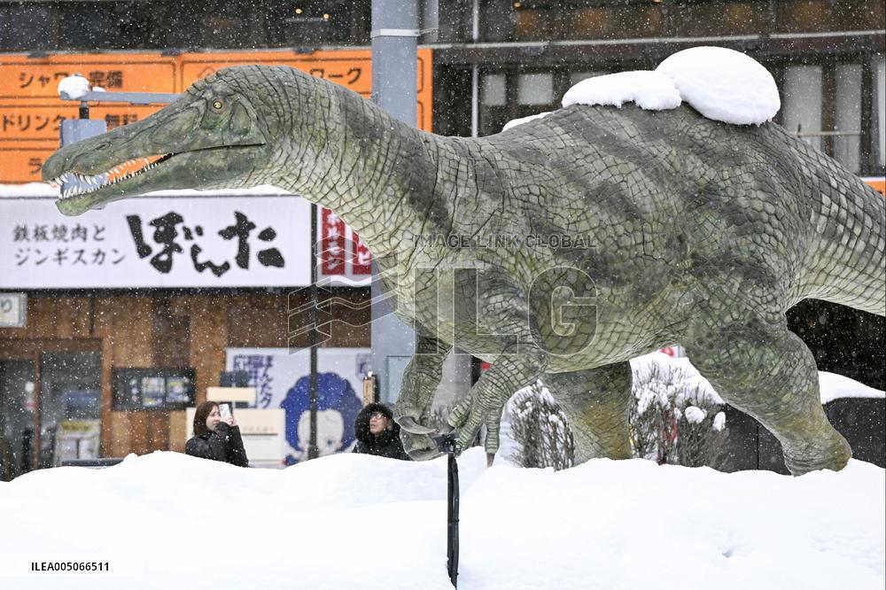 Heavy snow in Fukui