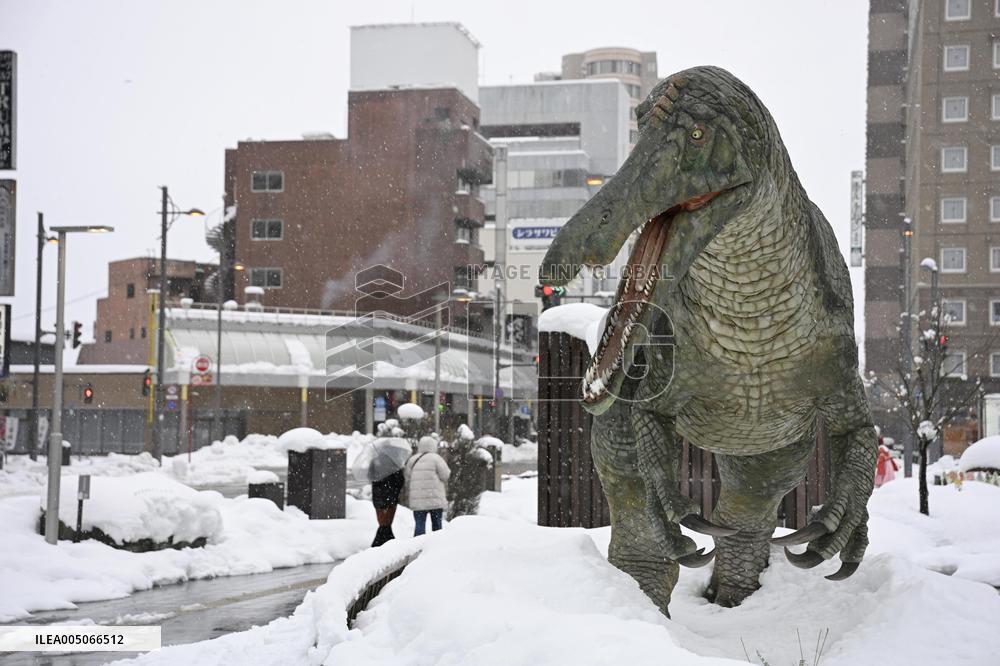 Heavy snow in Fukui