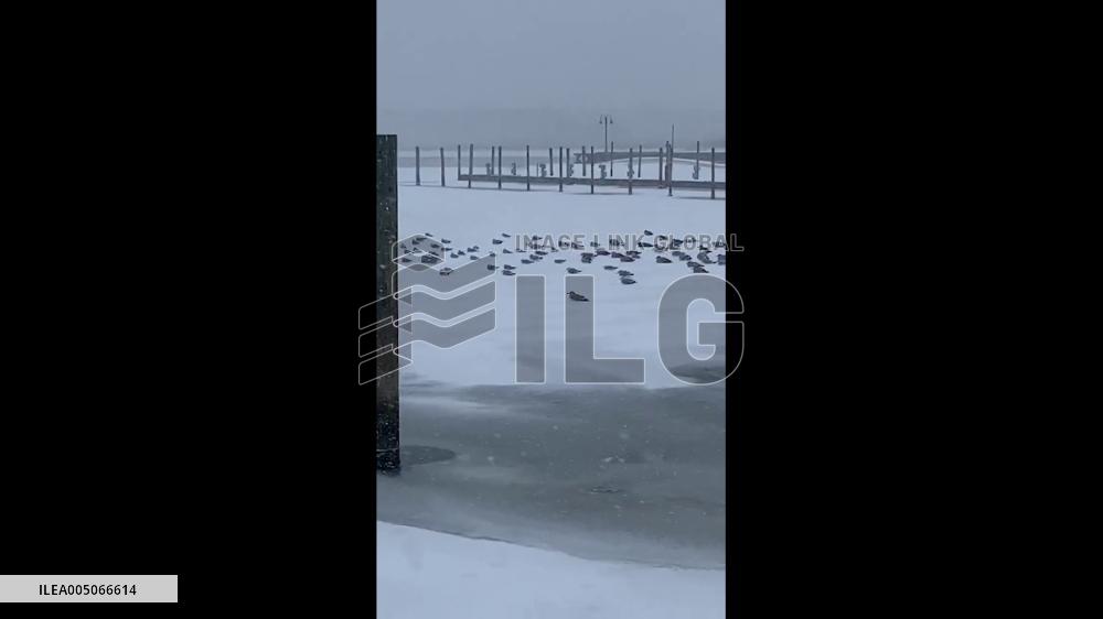 US: Deadly Winter Storm Brings Snow, Ice and Power Outages