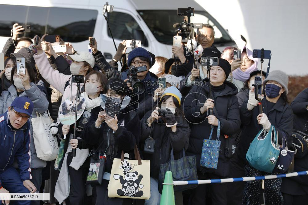 China return for Ueno zoo pandas