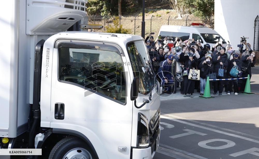 China return for Ueno zoo pandas